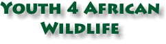 Youth 4 African Wildlife 