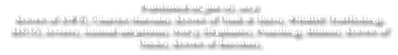 Published on Jan 16, 2015 Krewe of AWE, Charles Marsala, Krewe of Tusk & Horn, Wildlife Trafficking, RICO, Artists, Animal adoptions, Ivory, Elephants, Poaching, Rhinos, Krewe of Tucks, Krewe of Bacchus,